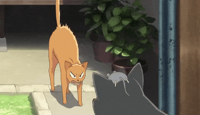 水果篮子:新版改动太多,网友大呼坑爹?其实有很多优点_手机搜狐网