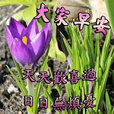 最新版漂亮早上好帶字表情圖片問候語錄,清晨送給大家的祝福短信