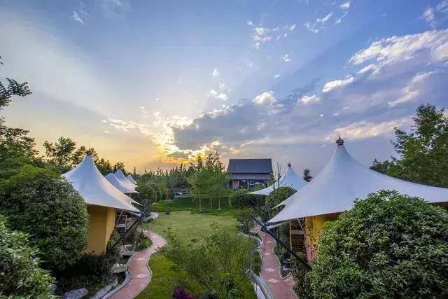 大美"北林"|这个秋天到成都农高园清凉一下