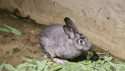 毕节有个小小动物园,你去了吗?