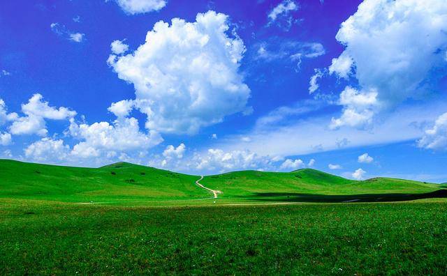 不愿头顶青青草原的你,还不来内蒙好吃好喝的玩起来?_手机搜狐网