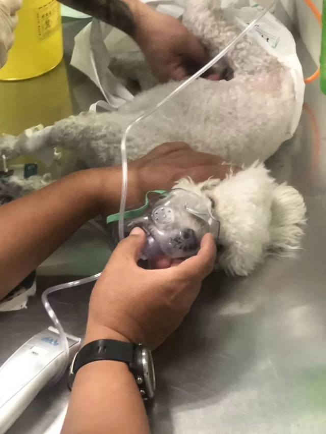 异烟肼投毒再现投毒人的心比毒更可怕