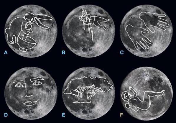 月亮里的玉兔怎么画图片