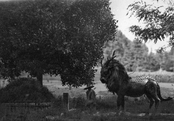 清朝末年,外国人来中国无意间拍到的道士带着麒麟捉妖