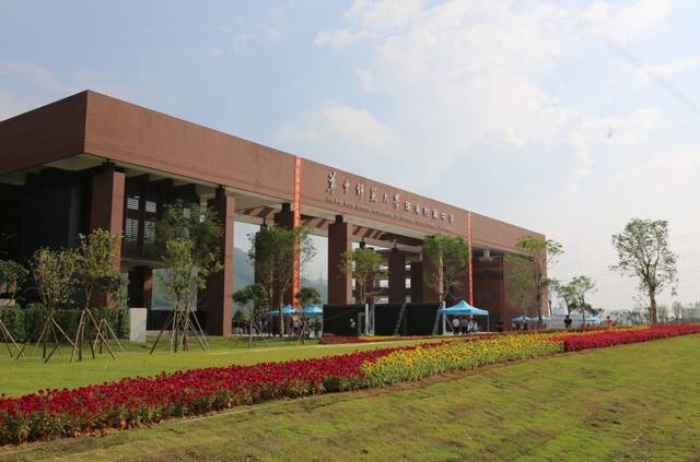 福建华师教育学院