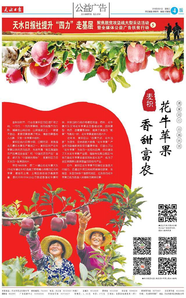 麦积 花牛苹果 香甜富农