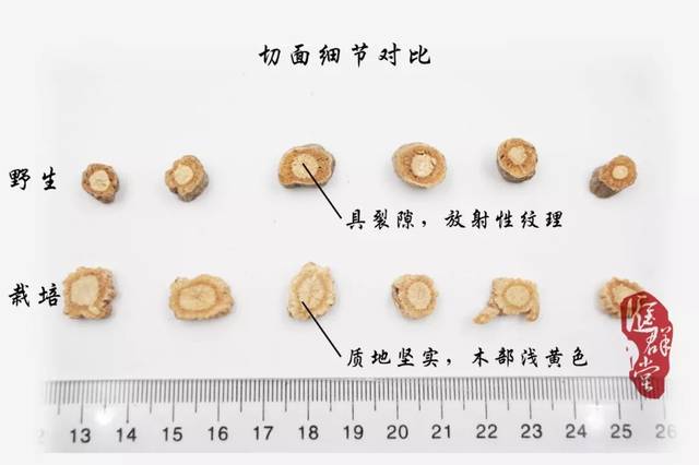 市面上防风价格参差不齐,原因何在?