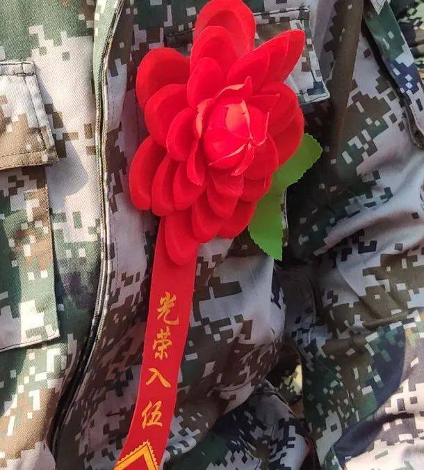 博罗301名新兵光荣入伍分别送往东北新疆湖北等地
