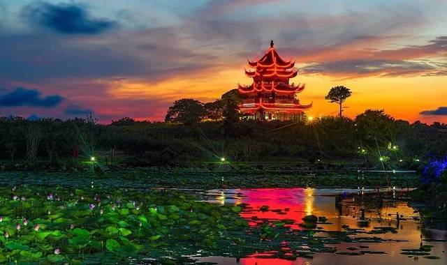 中秋明月夜,乐在海湾园 | 这个中秋,我与上海海湾国家森林公园有个