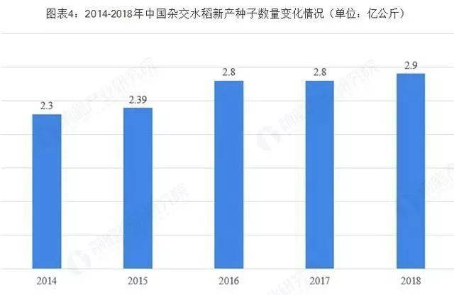 杂交种子