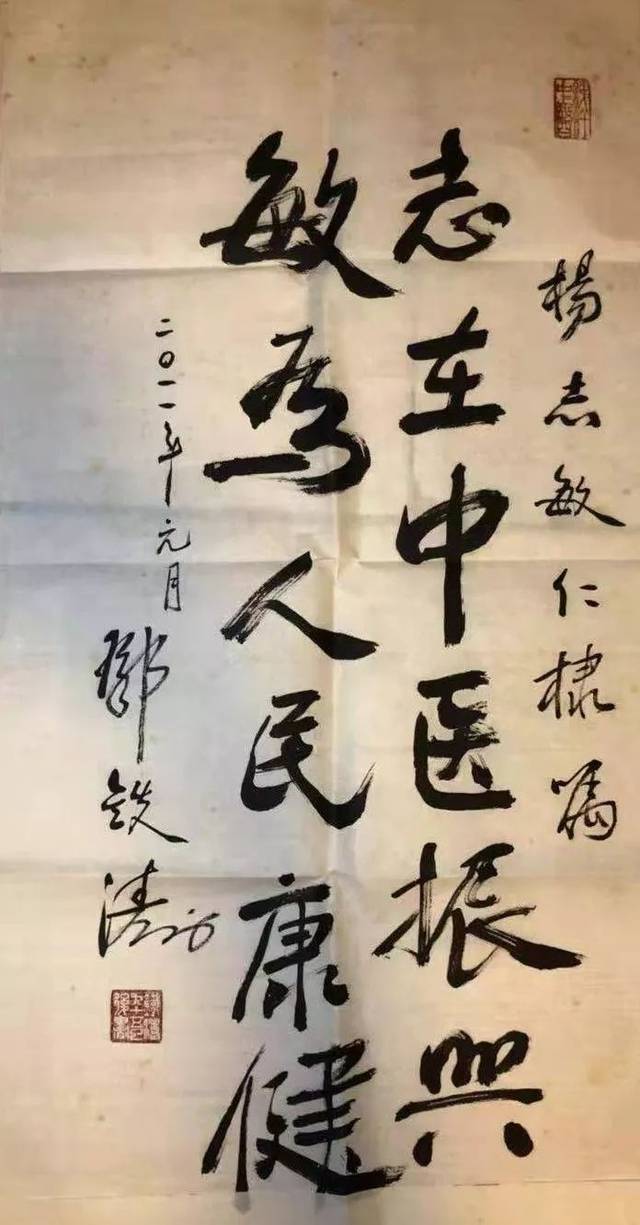 杨志敏:志在振兴中医,敏于服务人民