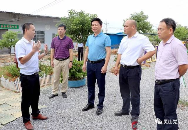 灵山【脱贫攻坚】刘钦到新圩调研指导脱贫攻坚工作_手机搜狐网