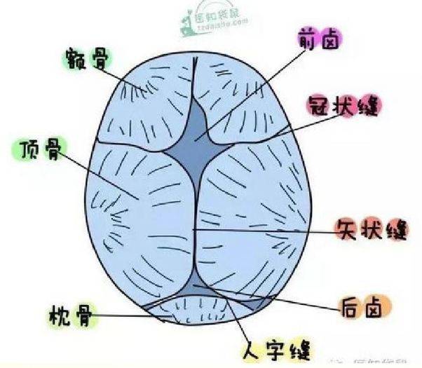 产科必备技能:产程中,如何快速识别难产?超全图文讲解!_手机搜狐网