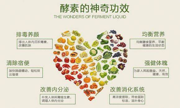 早晨喝一杯酵素,肠道畅通,活力一整天!