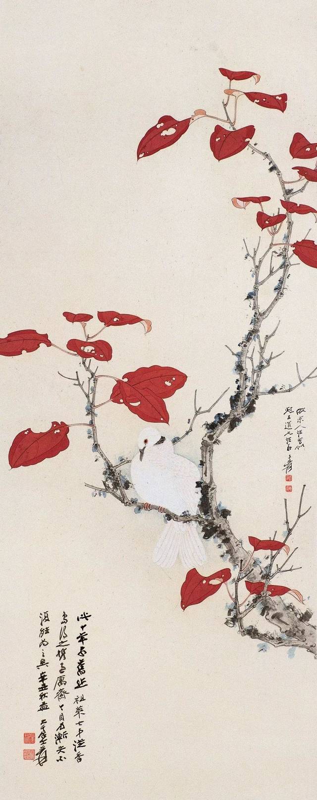 珍藏｜张大千花鸟画（100幅）_工笔