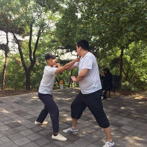 你所不知的拳法鸭形拳