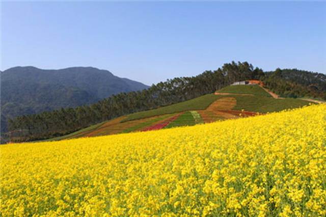 山重水复疑无路，柳暗花明又一村，陆游诗中的村子原来在这里？_搜狐网