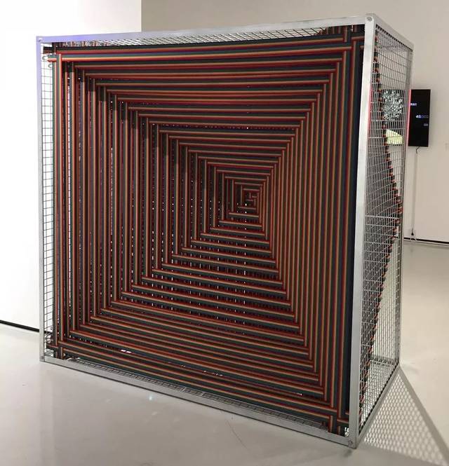 sunway人物 | 戴丹丹:有线空间与无限法则