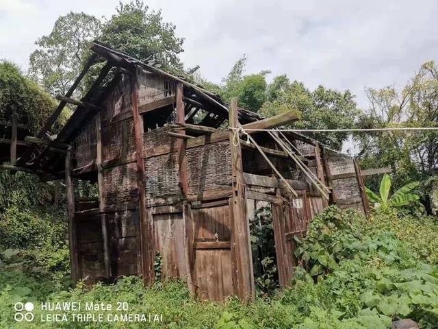 许家坝镇许家坝村图片