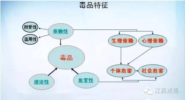 禁毒科普一什么是毒品毒品的特征及其分类