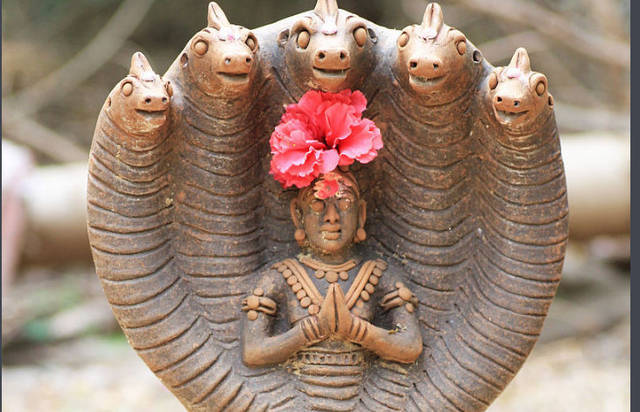 网友称:印度国家又开挂了!