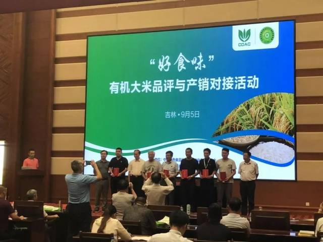 有机素食面：寻找健康美味的新选择