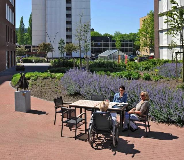 康复花园 | 如何将康养疗愈与园艺景观有机结合?