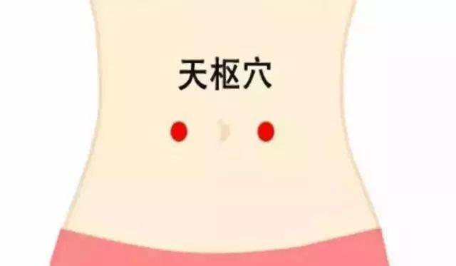 天枢准确位置图图,大横,作用_大山谷图库