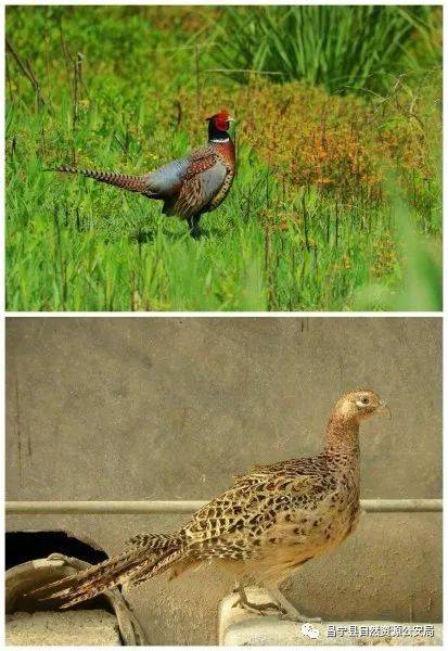 普法课堂 | 森林公安提醒:下面的这些行为将受到相关法律法规处罚哦