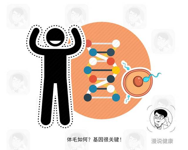 二,和内分泌有关