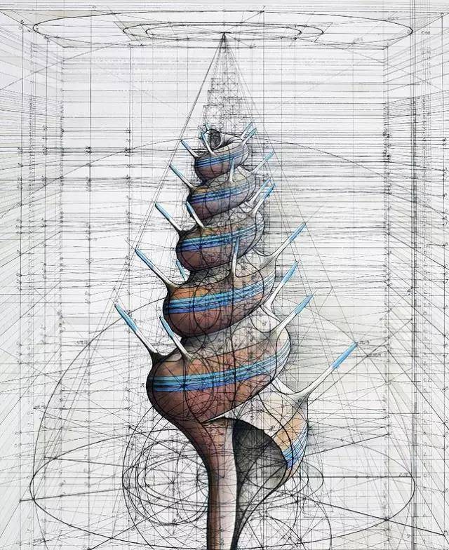 数学与艺术结合产生的奇妙反应