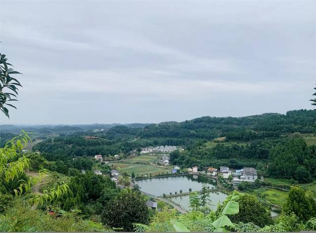 追梦中华乡村振兴2019海外华文媒体四川采风行走进常乐镇拱市村