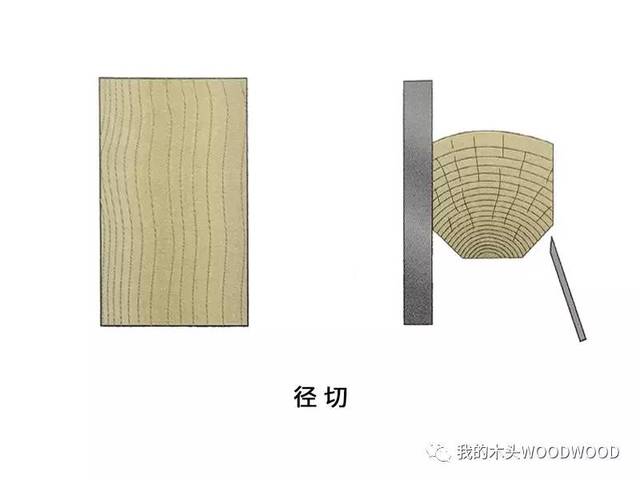 旋切和径切,(第8页)_大山谷图库