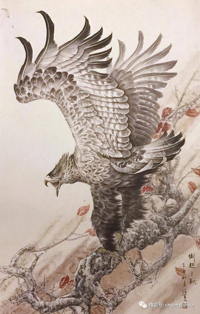 中国画工笔鹰技法手把手教你画鹰方法零基础也能画出展翅雄鹰