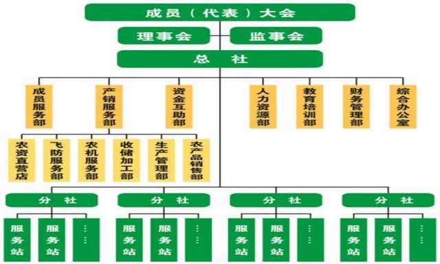 1 湖南锦绣千村农业专业合作社组织结构