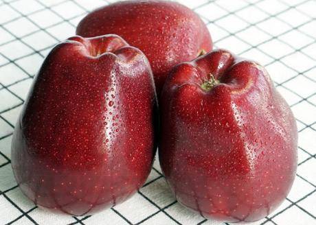 5-14%;可滴定酸0.2-0.36%;去皮果肉硬度6.5kg/cm2 .