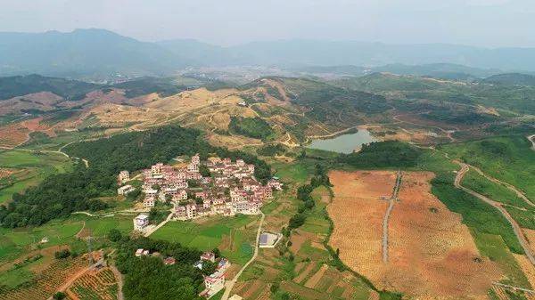 旅游升温江华瑶族自治县社湾村土地流转转出万亩现代农业产业园