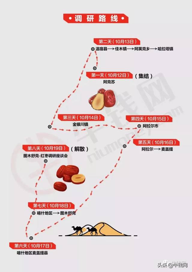 "枣香飘西域,同聚期枣行"丨看懂红枣,一场调研就够了
