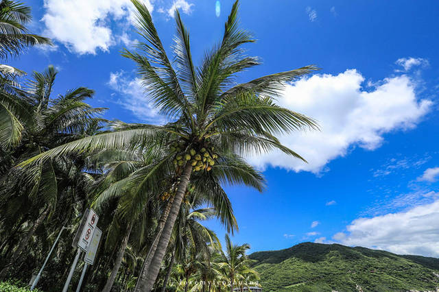 3天2晚三亚旅游攻略(美食、住宿、景点实用贴