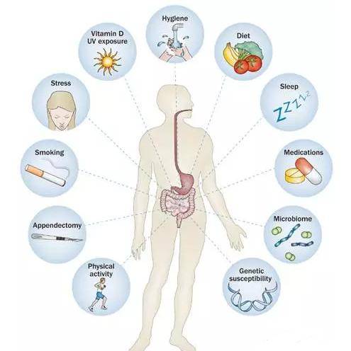 新健康问题!人体菌群种类超1000种,微生态大世界你了解多少_手机搜狐