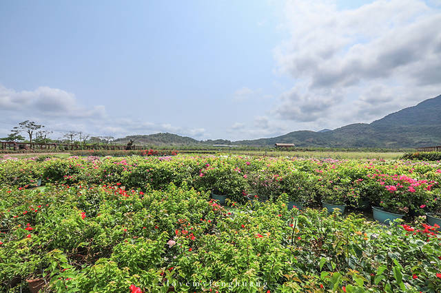 3天2晚三亚旅游攻略(美食、住宿、景点实用贴