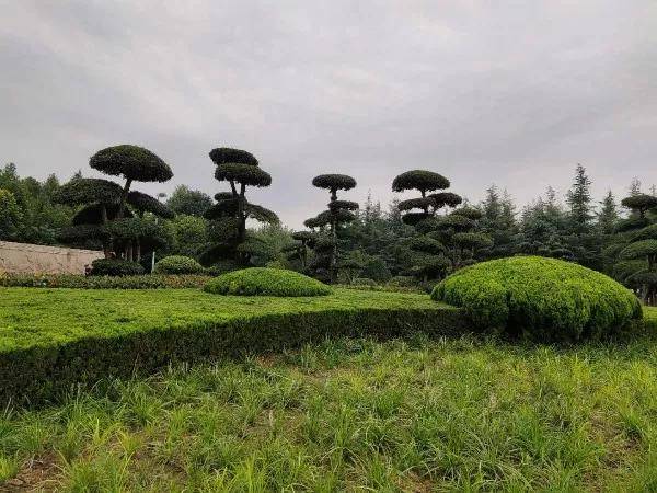 从德胜公园东面正门进入,首先映入眼帘的是一个文化广场,广场中心有一