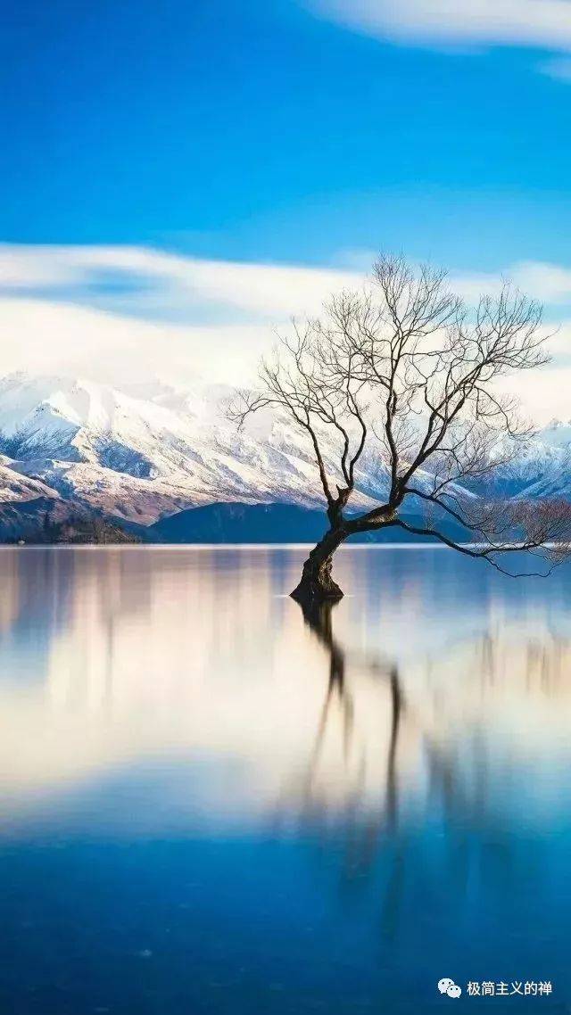 西子谦 诵读:花晨山高水长兜兜转转,走不出来的是痴迷;痴狂在意境之间