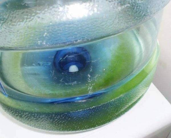 水桶突然长 青苔 怎么回事 水桶长青苔是什么原因 恩芝网