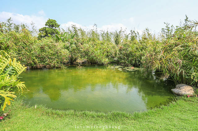 3天2晚三亚旅游攻略(美食、住宿、景点实用贴