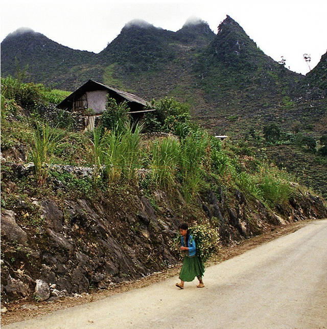 越南北部农村图片