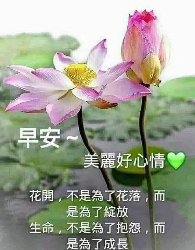 朋友圈早上好温馨漂亮祝福语美图早安带字带祝福语图