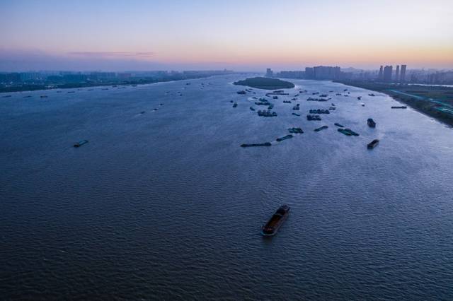 黄金水道绿色行动南京长江段美颜的秘密在这儿