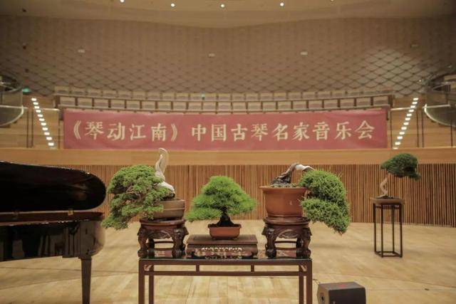 琴动江南,情系常熟丨金鸡湖畔,中国古琴名家音乐会精彩演绎_手机搜狐