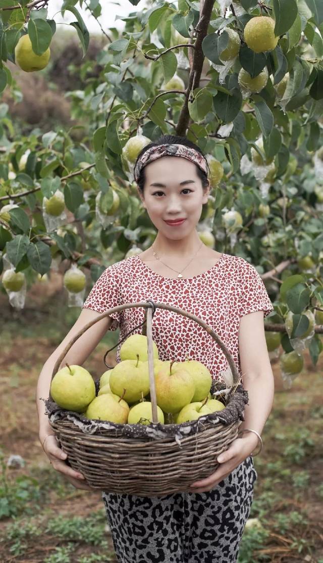 90后美女新农人,黄土高原种梨子!年轻人干农业最重要的是什么?